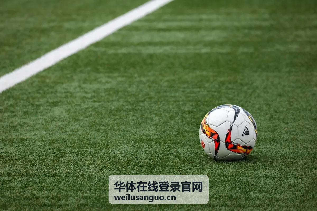 华体在线登录官网专属特权展示图